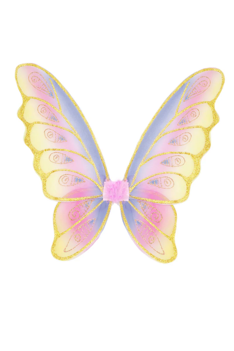 Glitter rainbow wings multi p/g