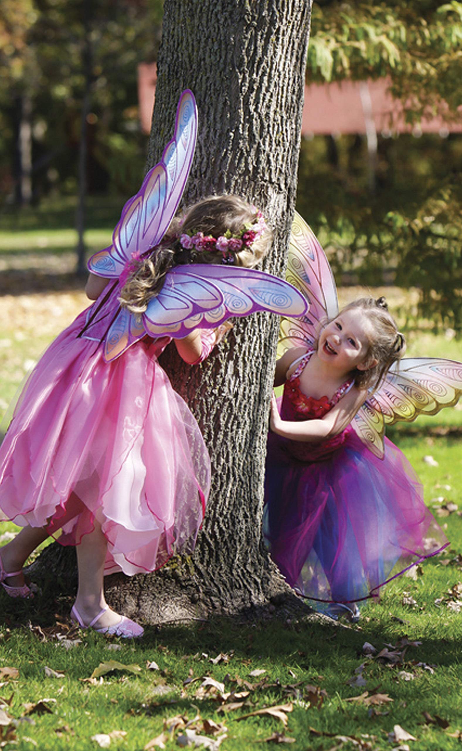 Glitter rainbow wings multi p/g