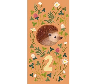 Pinnsvin 2 år