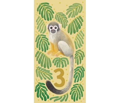 Ape 3 år