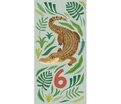 Krokodille 6 år