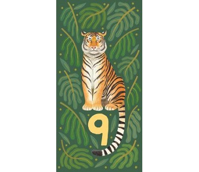 Tiger 9år