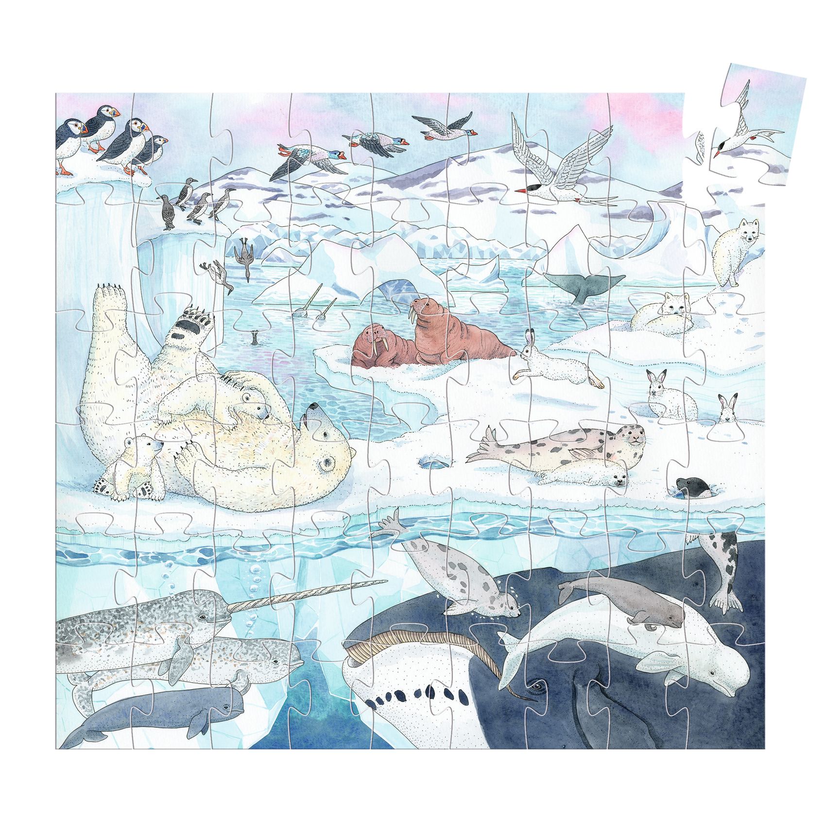 Polar softness -54 pcs