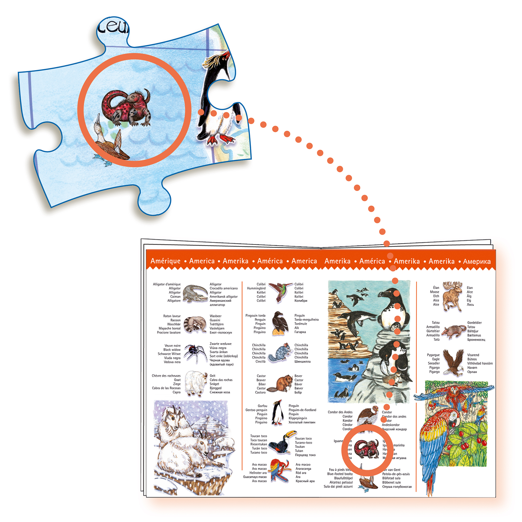 Worlds animals + booklet - 100 pcs  - FSC MIX