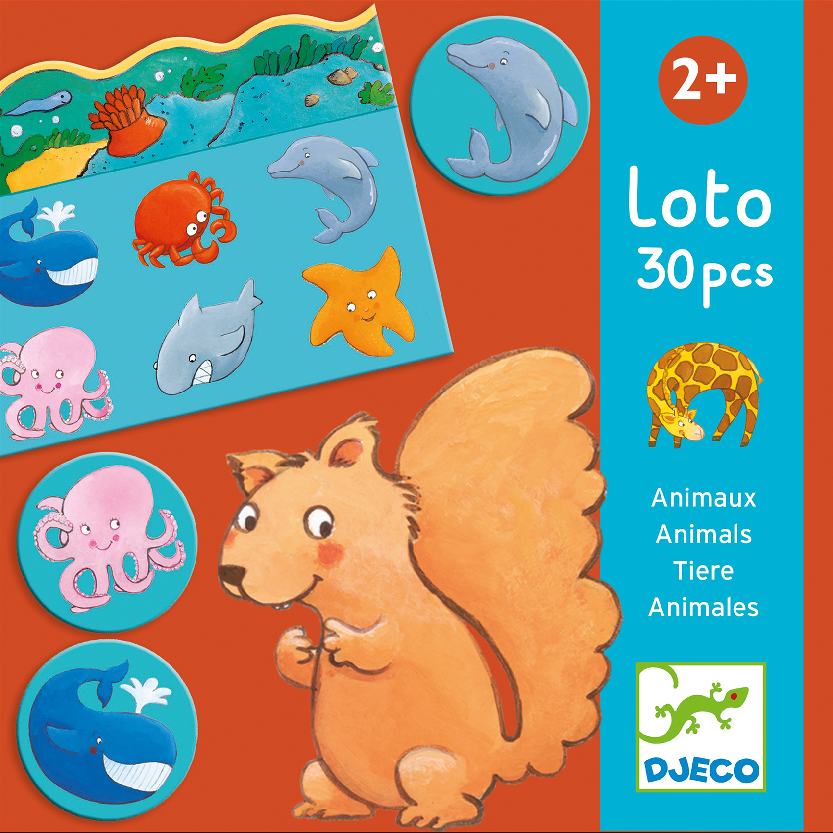 Animals lotto