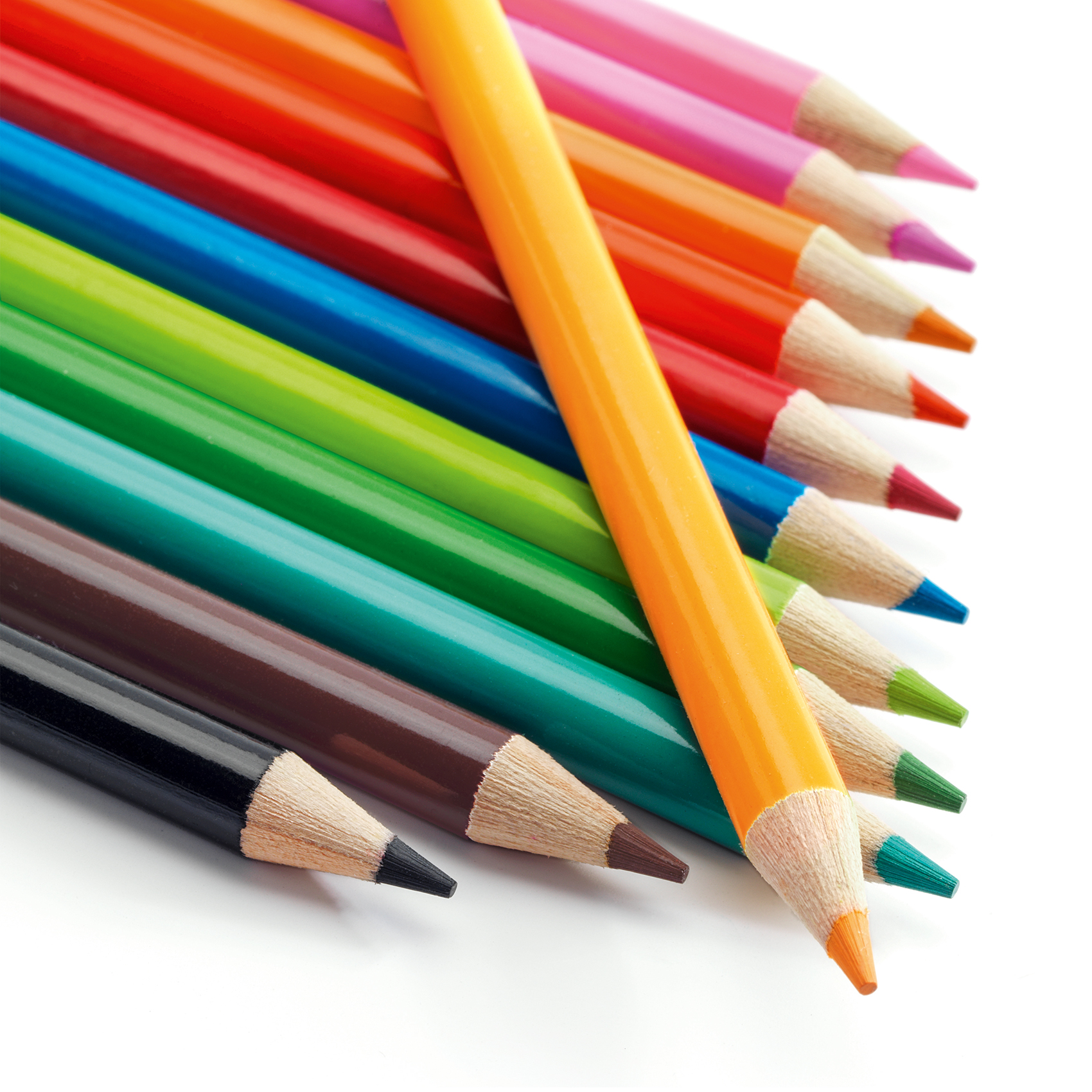 12 watercolour pencils