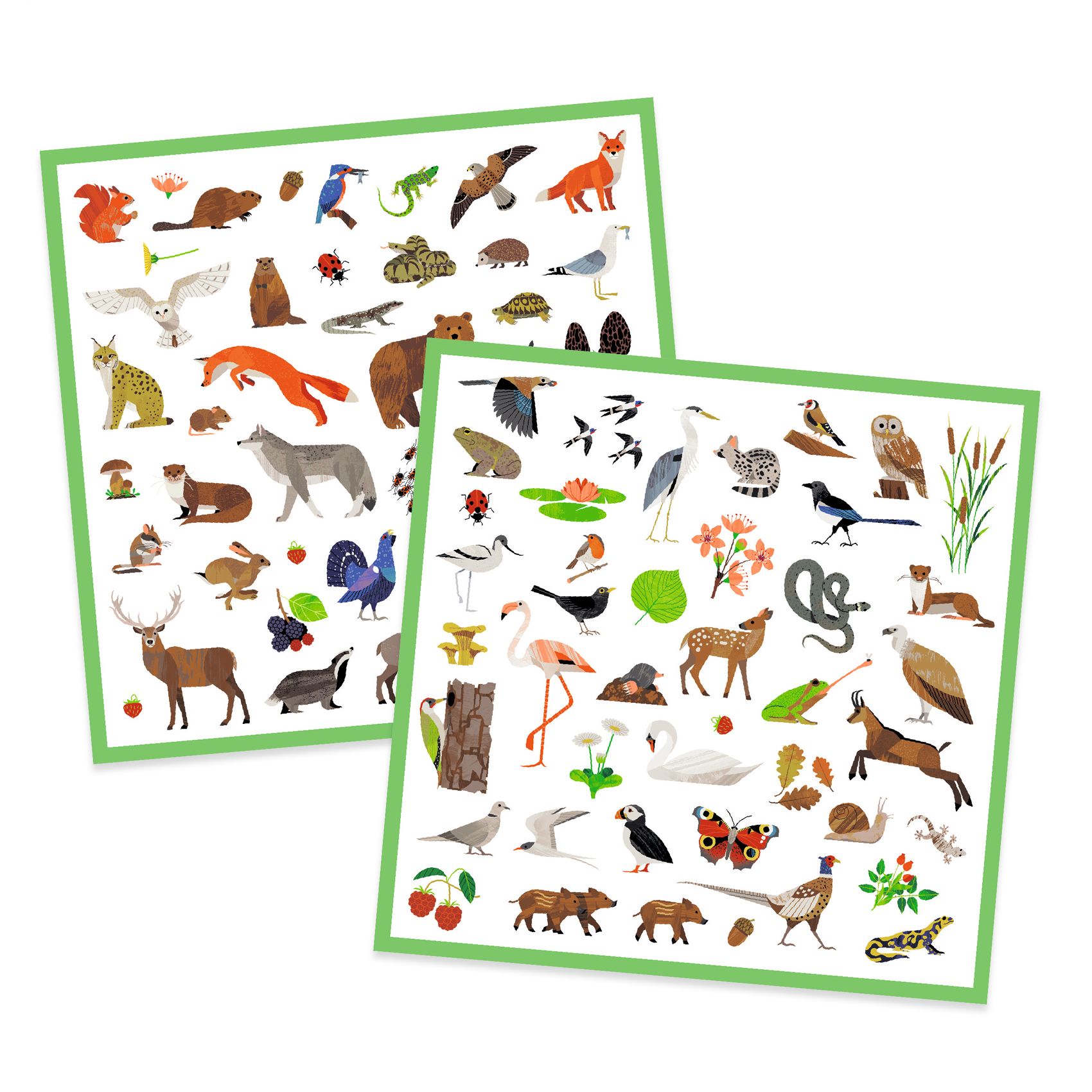 Fauna
