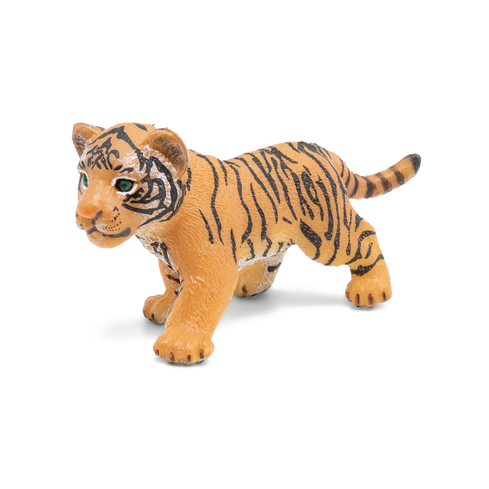 Tiger cub