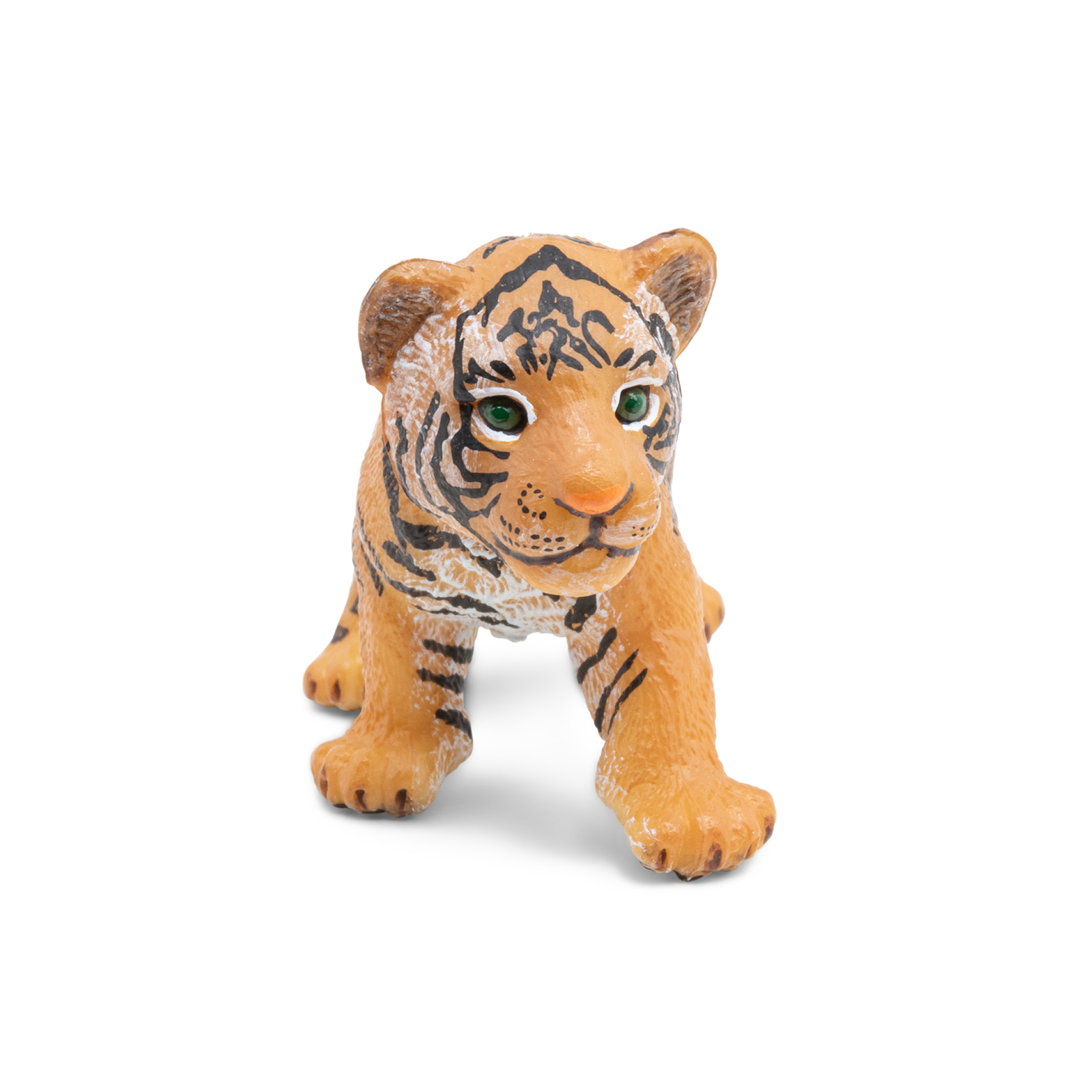 Tiger cub