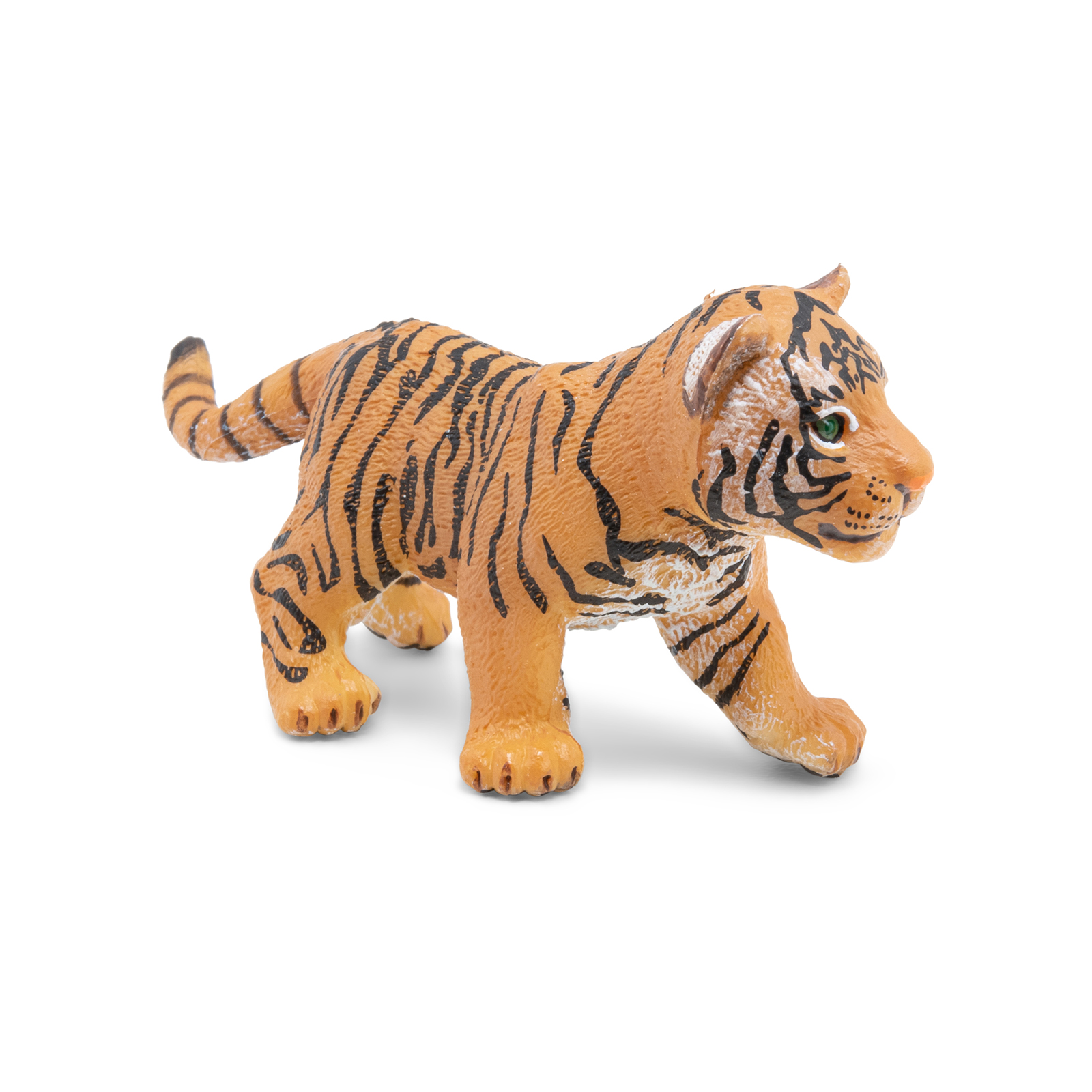Tiger cub
