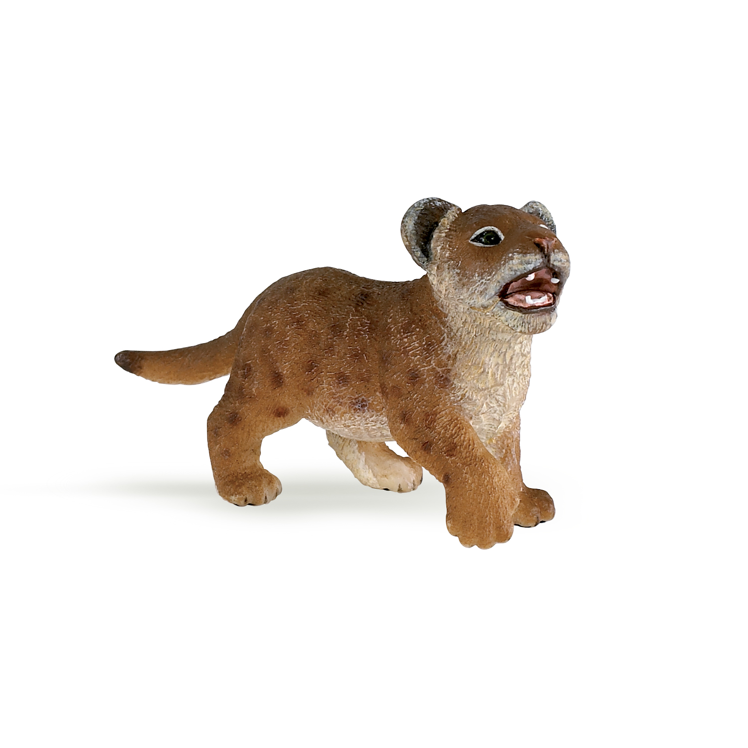 Lion cub