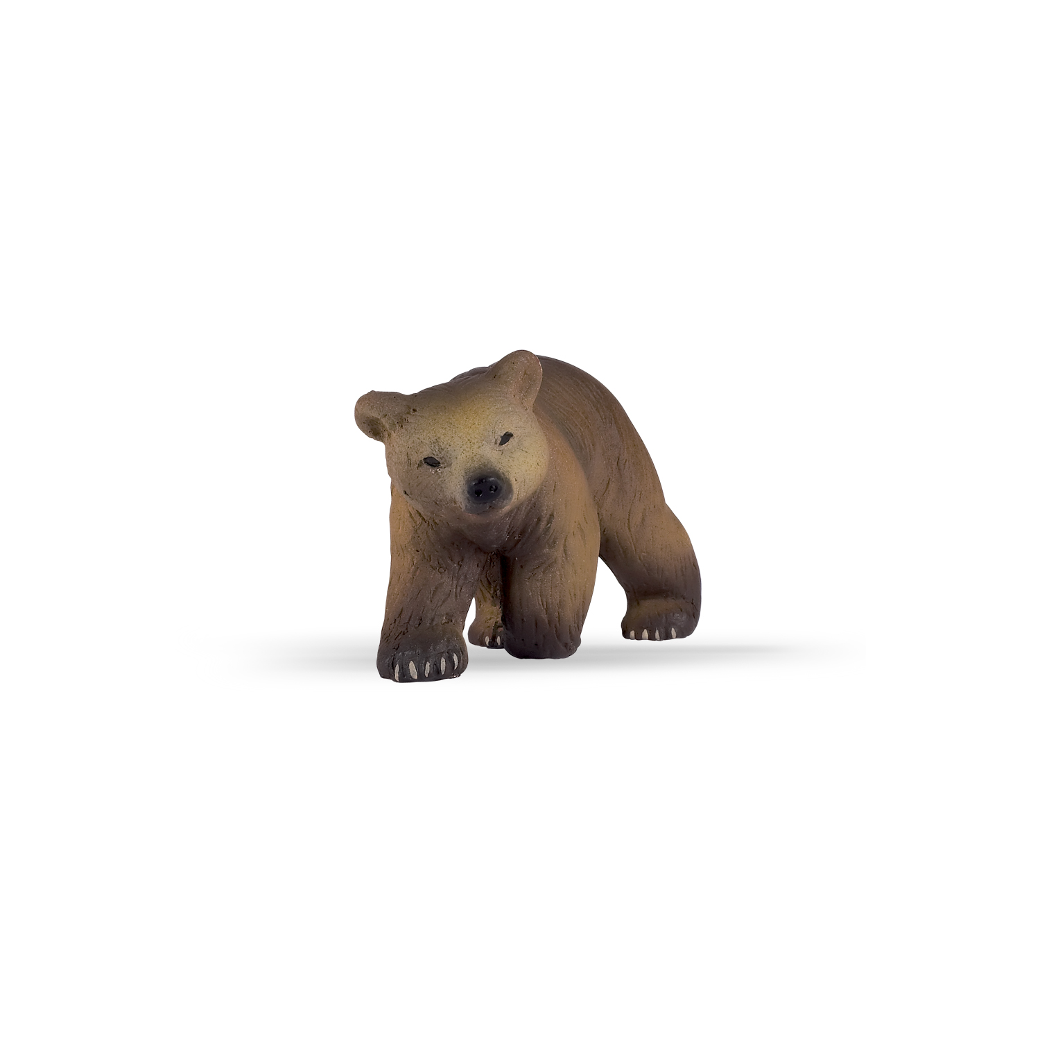Pyrenees bear cub