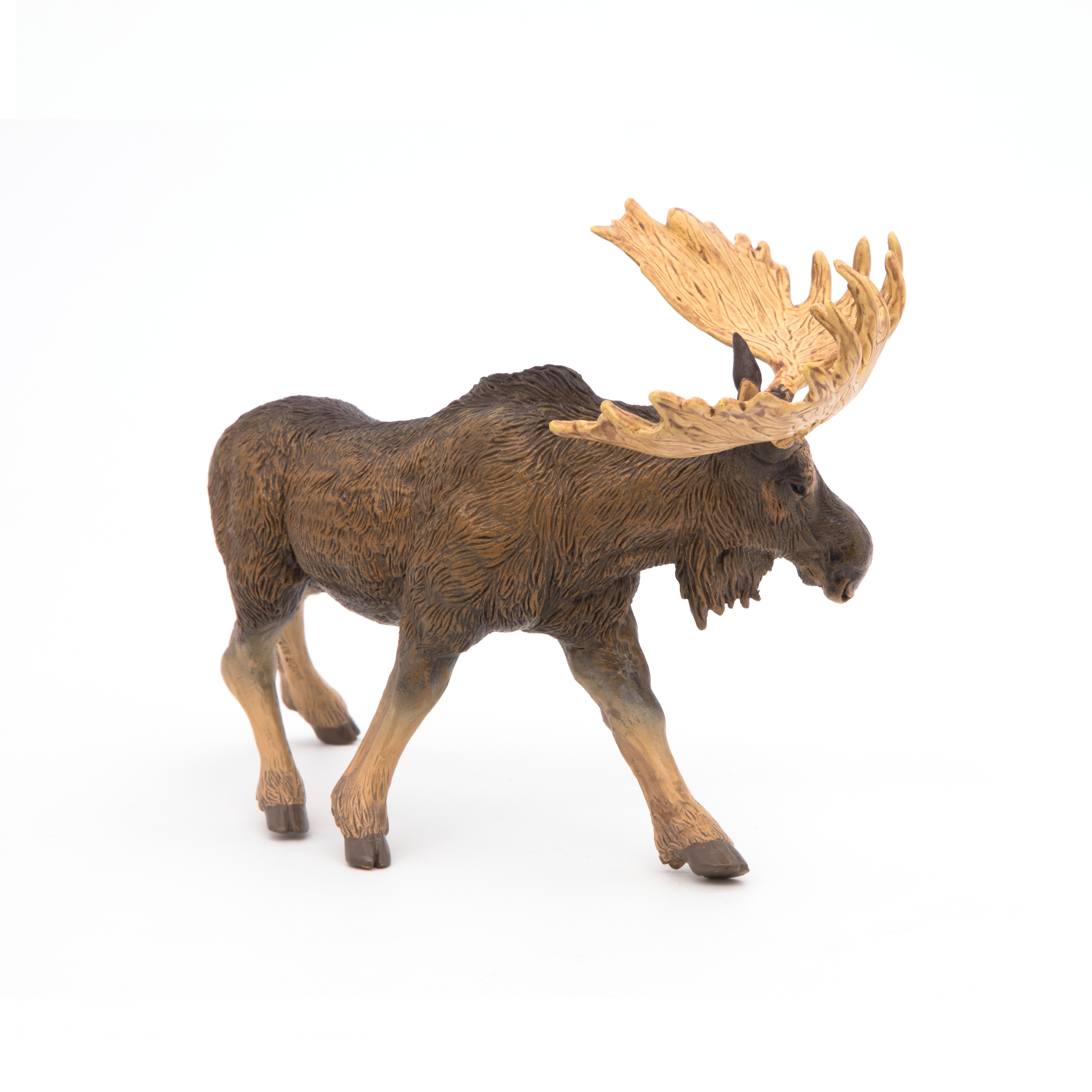 Moose