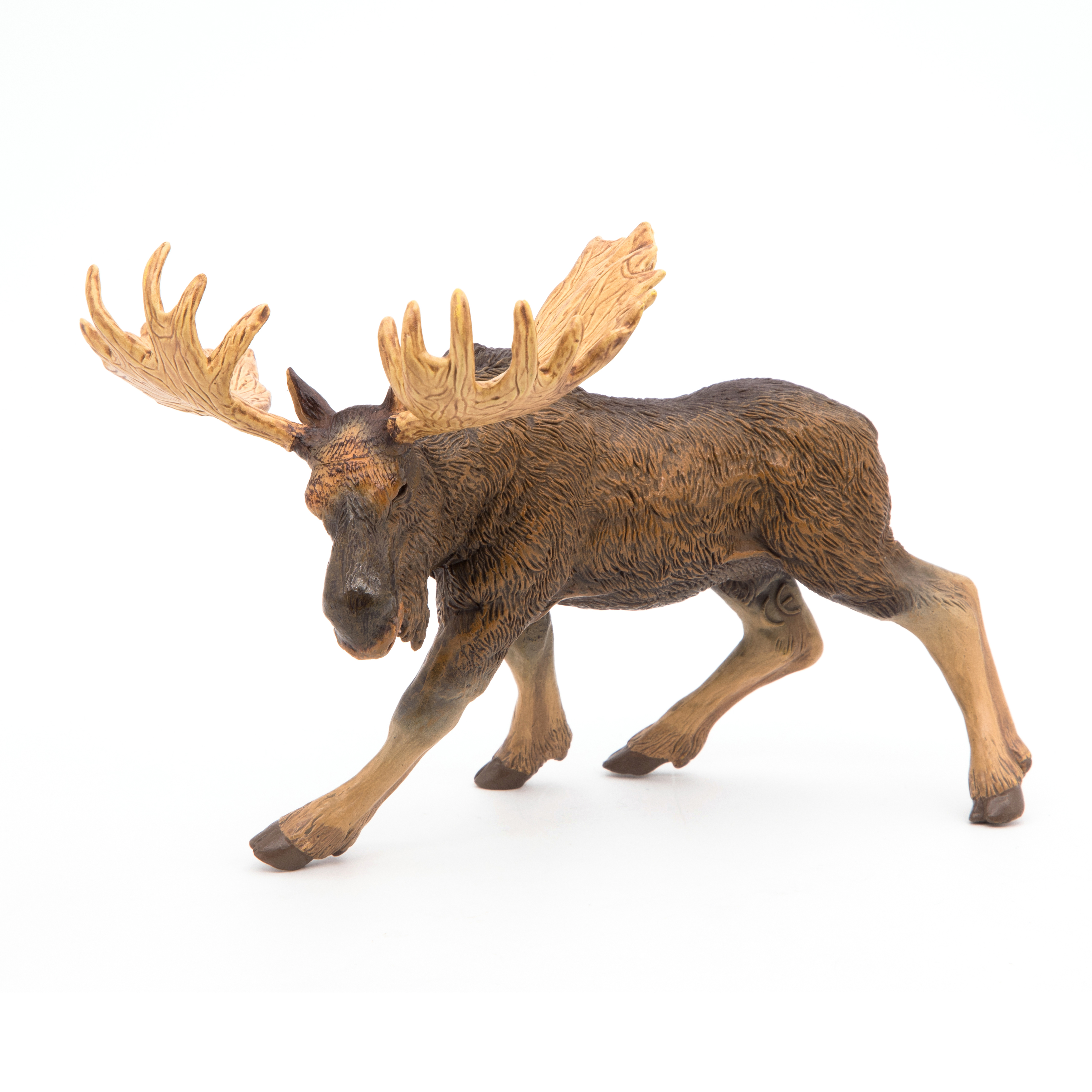 Moose