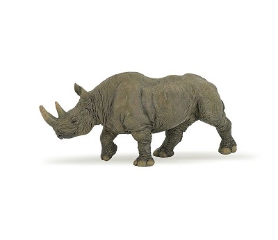 Black rhinoceros