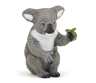 Koala bear