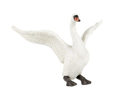 White swan