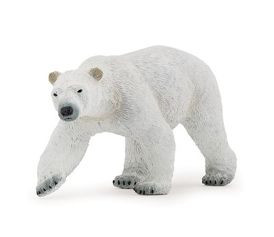 Polar bear