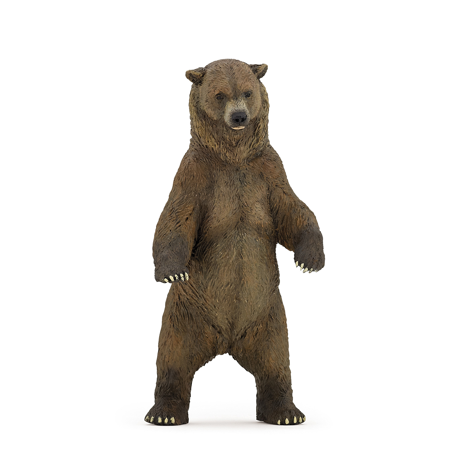 Grizzly bear