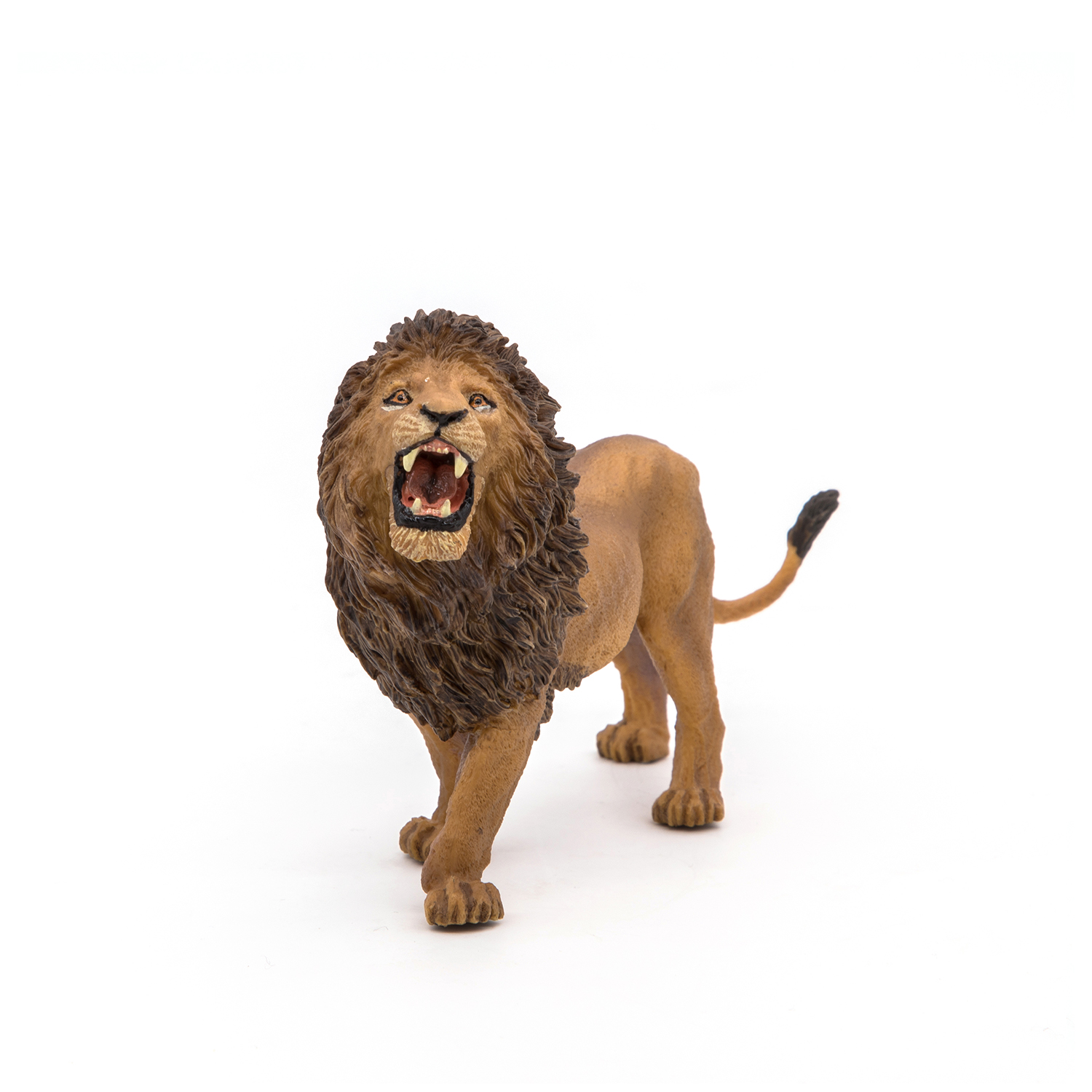 Roaring lion