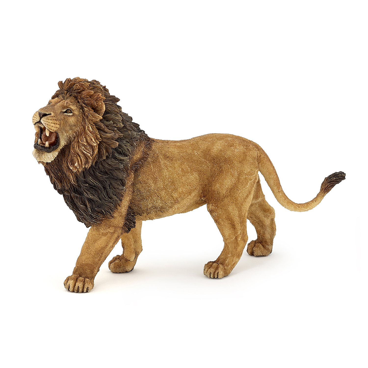 Roaring lion