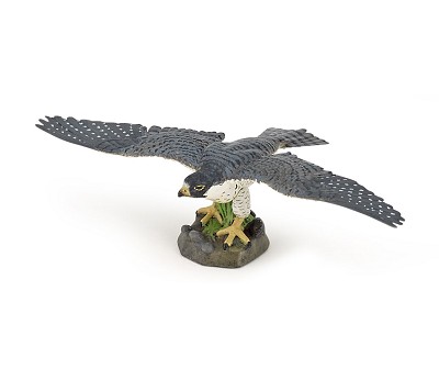 Hawk