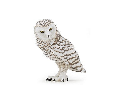 Snowy owl