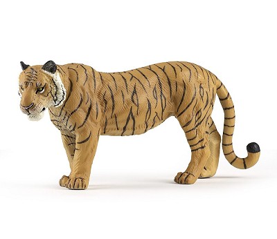 Large tigress