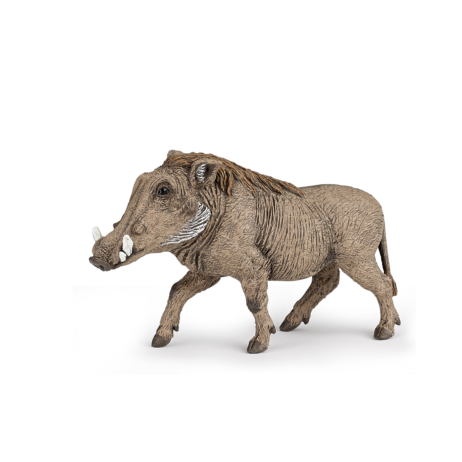 Warthog