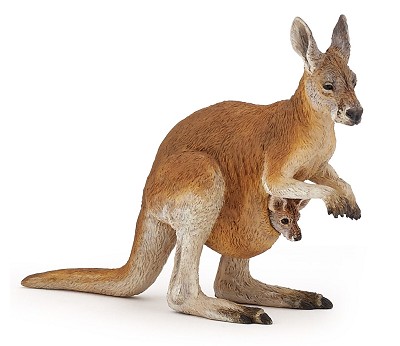 Kangaroo with joey