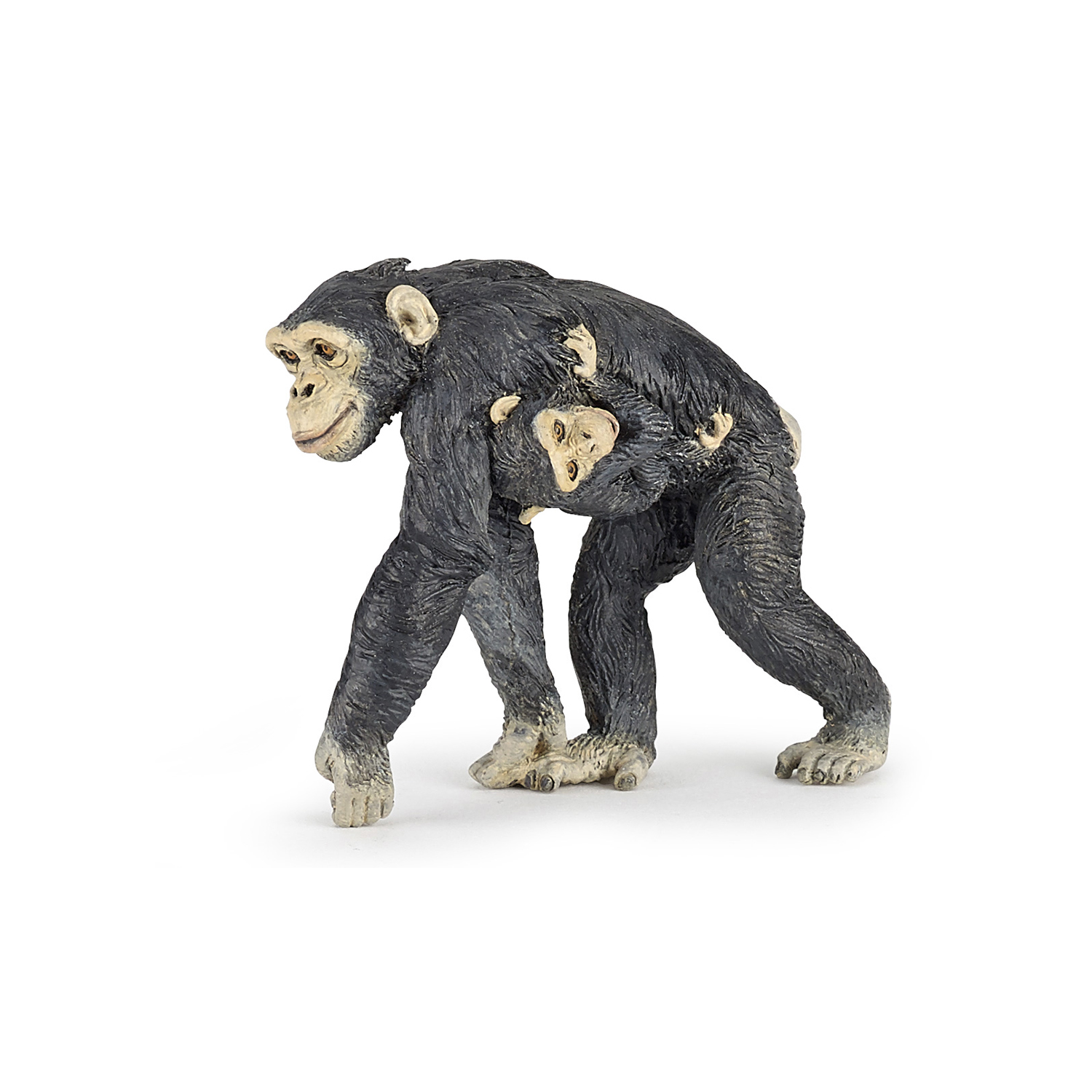 Chimpanzee and baby