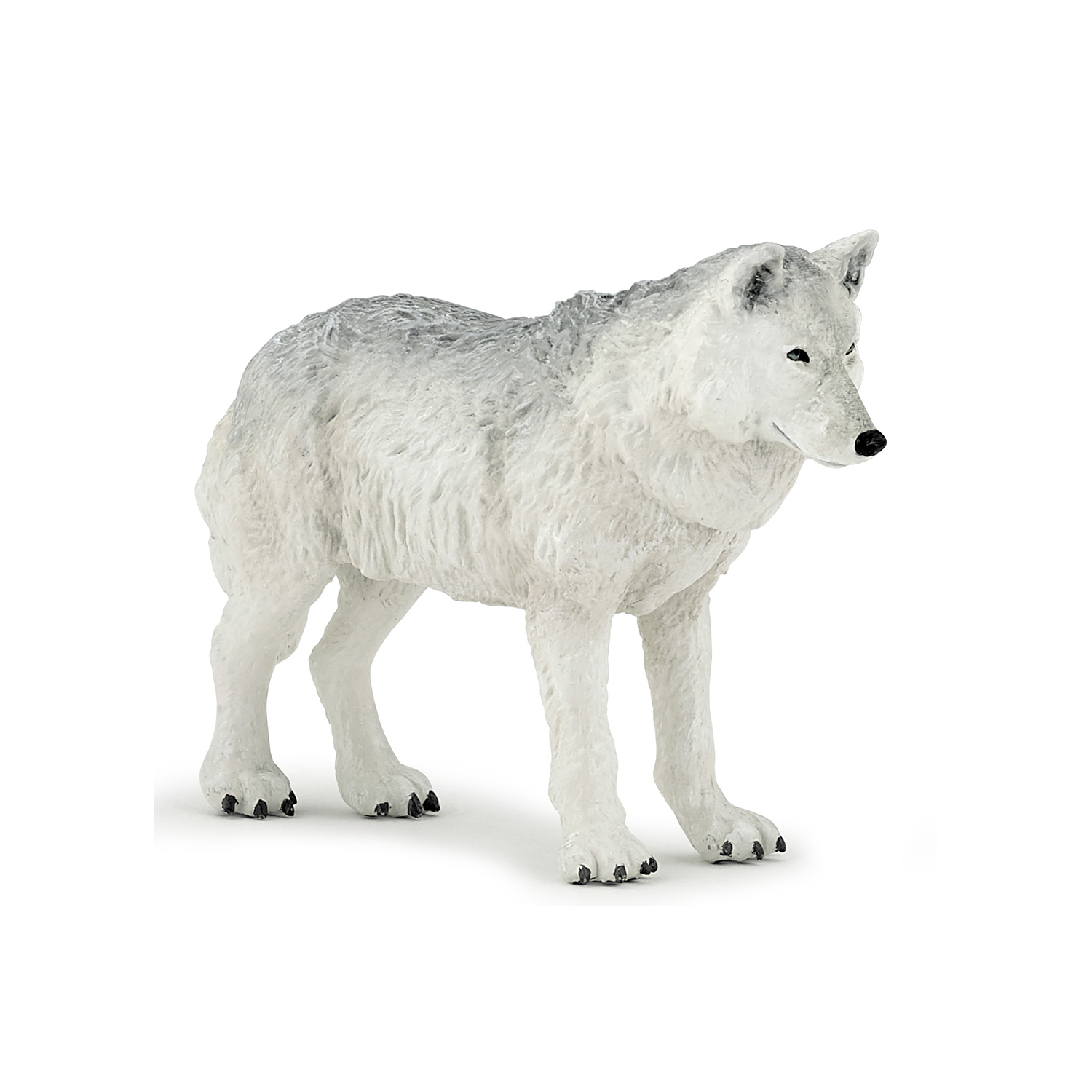 Polar wolf