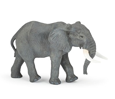 Large African elephant