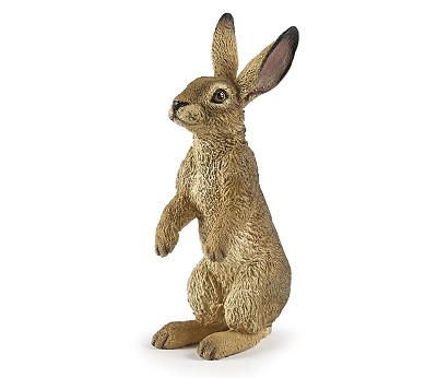 Standing hare