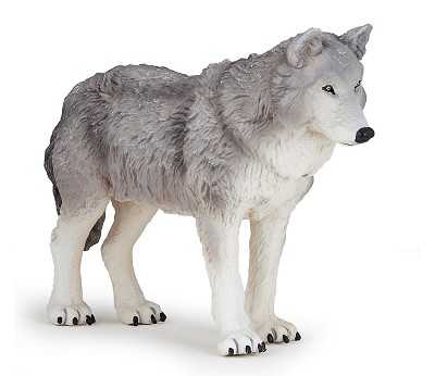 Large wolf