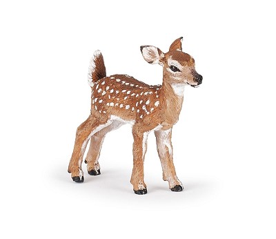 fawn
