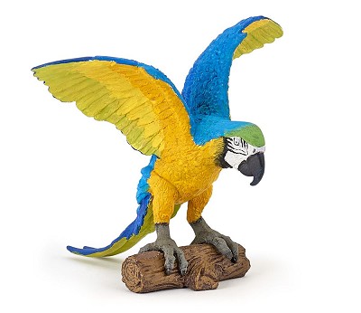 blue ara parrot