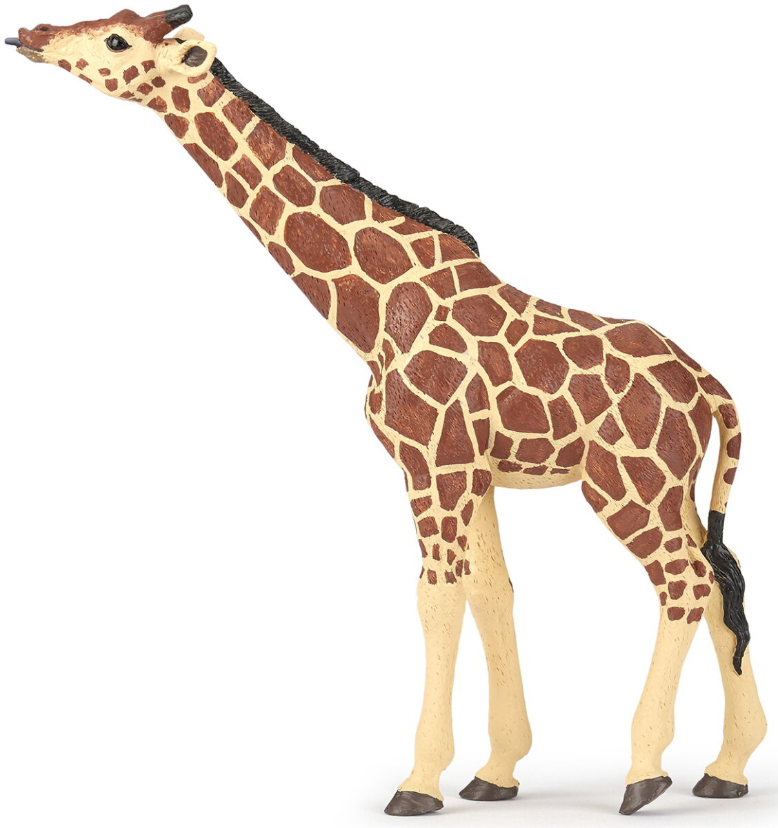 Giraffe head up