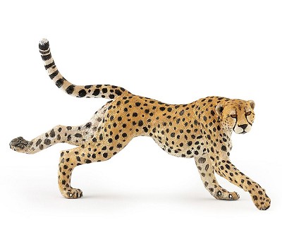 Running cheetah