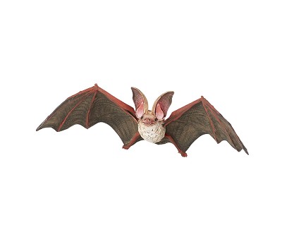 Bat