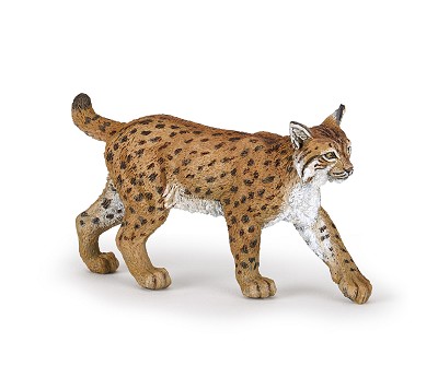 Lynx