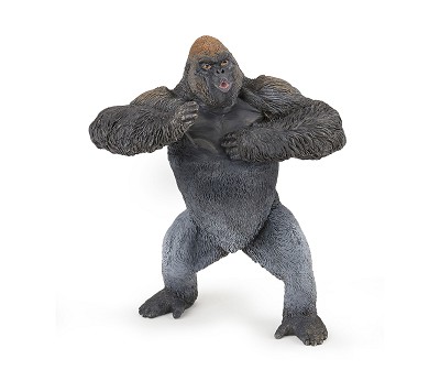 Mountain gorilla