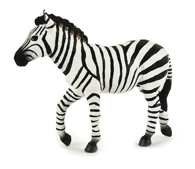 Male zebra