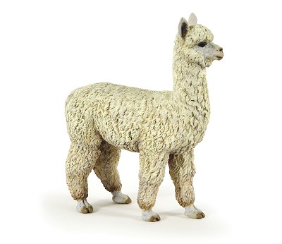 Alpaca