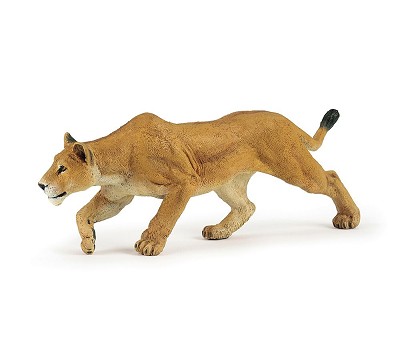 Lioness chasing