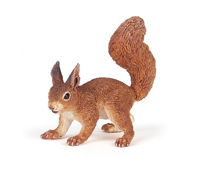 Squirrel