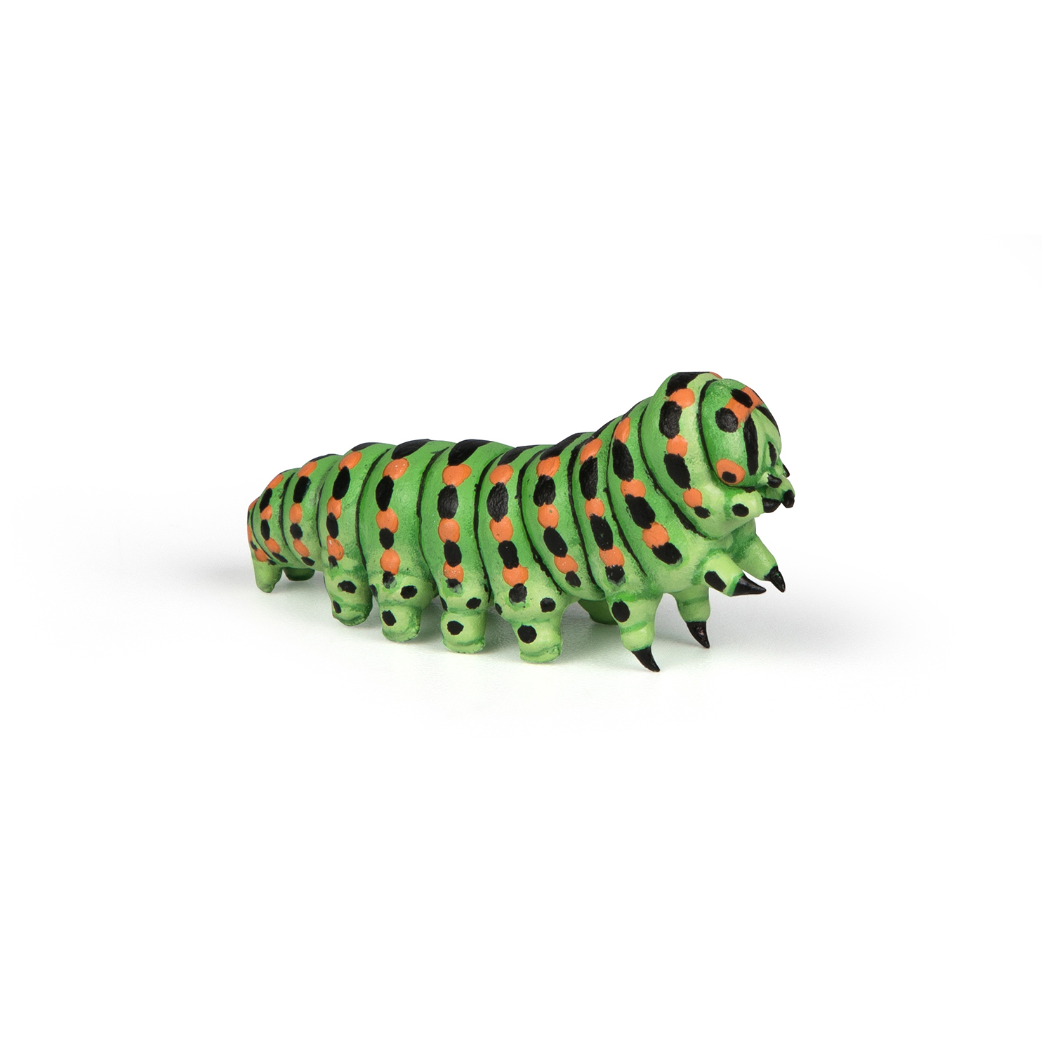 Caterpillar