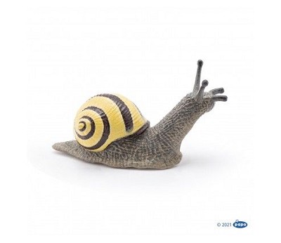 Grove snail