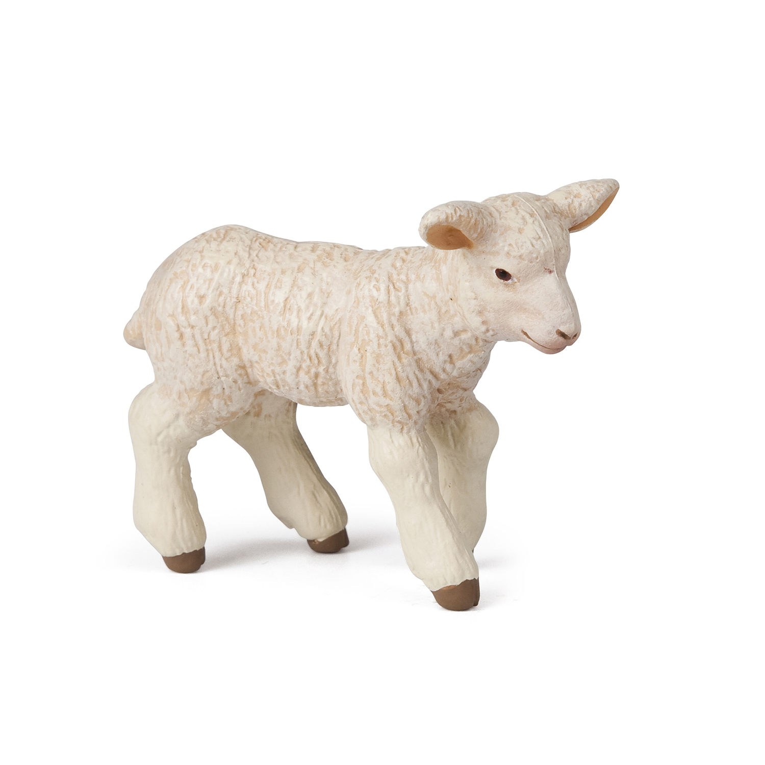 Lamb