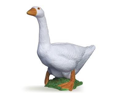 White goose